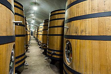 《守望先锋2》联动《变形金刚》 预计7月10日上线