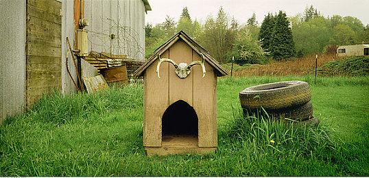 国产AVG《流浪小猫单身狗》现已在Steam发售 仅售10元